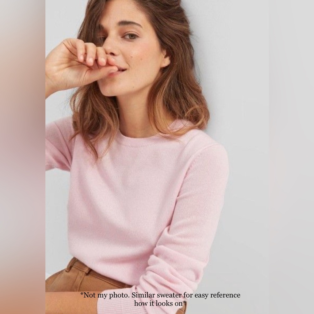 Everlane Cashmere sweater